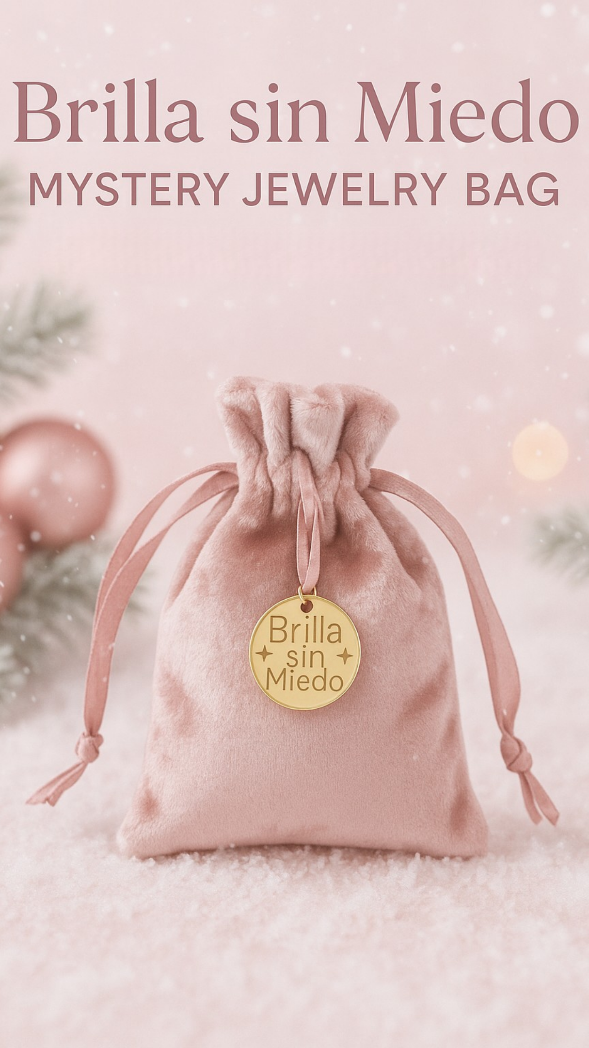 Brilla sin Miedo Mystery Jewelry Bag